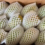 Kesar Mango Box 3Kg (Pre-Order)