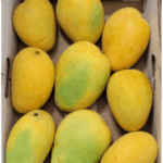 Banganapalle/Badami Mango Box 3Kg (Pre-Order)